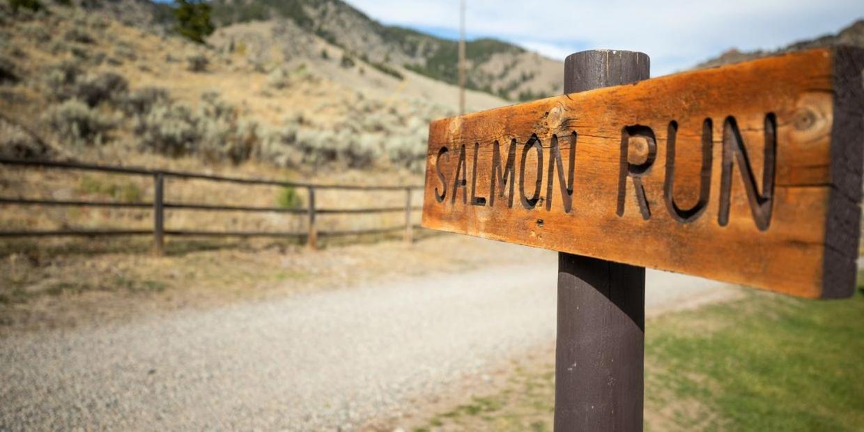 Twin Peaks Guest Ranch Βίλα Salmon Εξωτερικό φωτογραφία